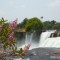 Flores na Cachoeira da Velha - Jalapão