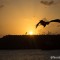 Pôr do Sol no Porto - Fernando de Noronha