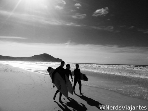 Surfistas na Praia do Rosa