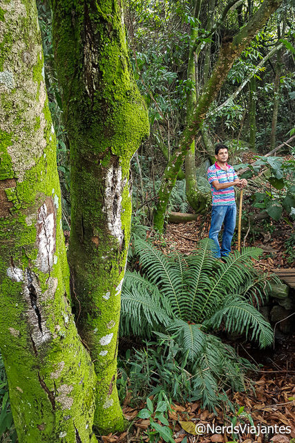 Trilha na Pousada das Nascentes em Catas Altas - Minas Gerais